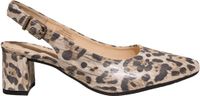 Gabor Slingback Pumps met Luipaardprint