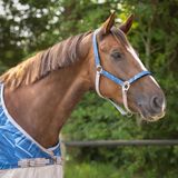 QHP Duo halster en longe Seashell Pony Polyester
