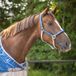 QHP Duo halster en longe Seashell Pony Polyester
