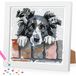 OEM Border Collie 5D Diamond Painting Kit for Kids with Frame, DIY Craft Set