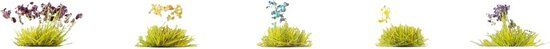 Noch Prairie de fleurs vert-jaune, bleu-blanc, lavande