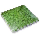 Gre Bodembescherming voor Zwembaden 50x50 cm Groen 9 Stuks