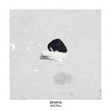 Sonic Rendezvous Darjeeling - Hokus Pokus (CD)