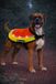 Flamingo Hondenjas – Regenjas hond – Veiligheidsvest Simi Fluo oranje L