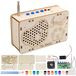 Radio en bois - Kit de construction - Peignable