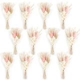 Set de 12 mini fleurs séchées - Convient aux produits photo et à la décoration DIY