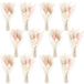 Set de 12 mini fleurs séchées - Convient aux produits photo et à la décoration DIY