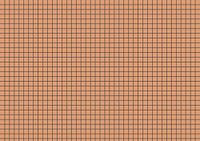 Brunnen 102250240 indexkaart (A5 geruit, 100 stuks, gelast) oranje