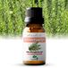 Zenful Rozemarijn Olie - 100% Bio & Puur - Rosemary Oil - 10 ml