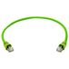 Telegärtner 100008001 RJ45 Netwerkkabel, patchkabel CAT 6A SF/UTP 0.5 m Groen Met anti-kniktule 1 stuk(s)