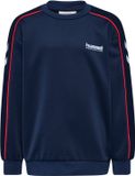Hummel Kindersweater Hmljr Interlock Ronde Hals Katoen/Elastaan Dress Blues