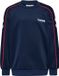 Hummel Kindersweater Hmljr Interlock Ronde Hals Katoen/Elastaan Dress Blues
