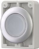 Eaton 182925 M30C-FDL-W Druktoets Plat, Rond, Verchroomd Wit