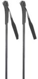Rossignol Ft-501 Junior Stokken Zilver 80 cm Kinderen