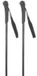 Rossignol Ft-501 Junior Stokken Zilver 80 cm Kinderen