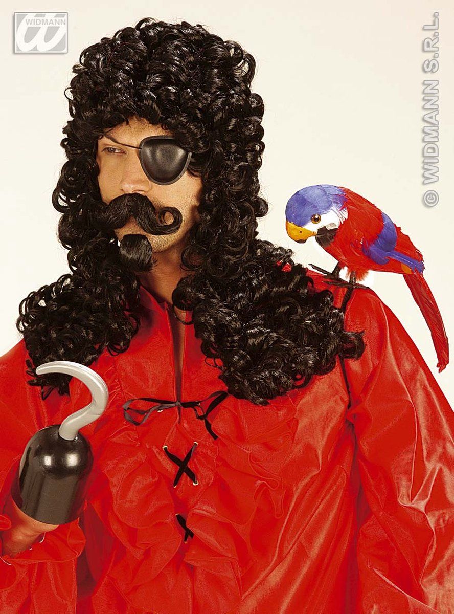 Générique Pruik Kapitein Haak (In Plastic Zak) | One Size