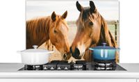 KitchenYeah Keuken Spatscherm 80x55 cm - Paard Strand Dieren - Aluminium