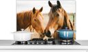 KitchenYeah Keuken Spatscherm 80x55 cm - Paard Strand Dieren - Aluminium
