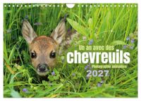 Un Calvendo Un an avec des chevreuils (Calendrier mural 2027 DIN A4 vertical), CALVENDO calendrier mensuel