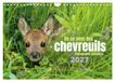 Un Calvendo Un an avec des chevreuils (Calendrier mural 2027 DIN A4 vertical), CALVENDO calendrier mensuel
