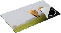 Chefcare Inductie Beschermer Twee Schotse Hooglanders Koeien Lopen Weg - 90x55 cm