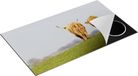 Chefcare Inductie Beschermer Twee Schotse Hooglanders Koeien Lopen Weg - 90x55 cm