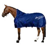 Imperial Riding Outdoor deken IRHSuper-Dry 50gr, Royal Blue, 165