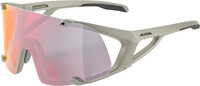 Alpina Hawkeye QV Glasses, grijs