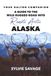 Your Dalton Your Dalton Companion: A Guide to the Wild Rugged Road into Remote Arctic Alaska
