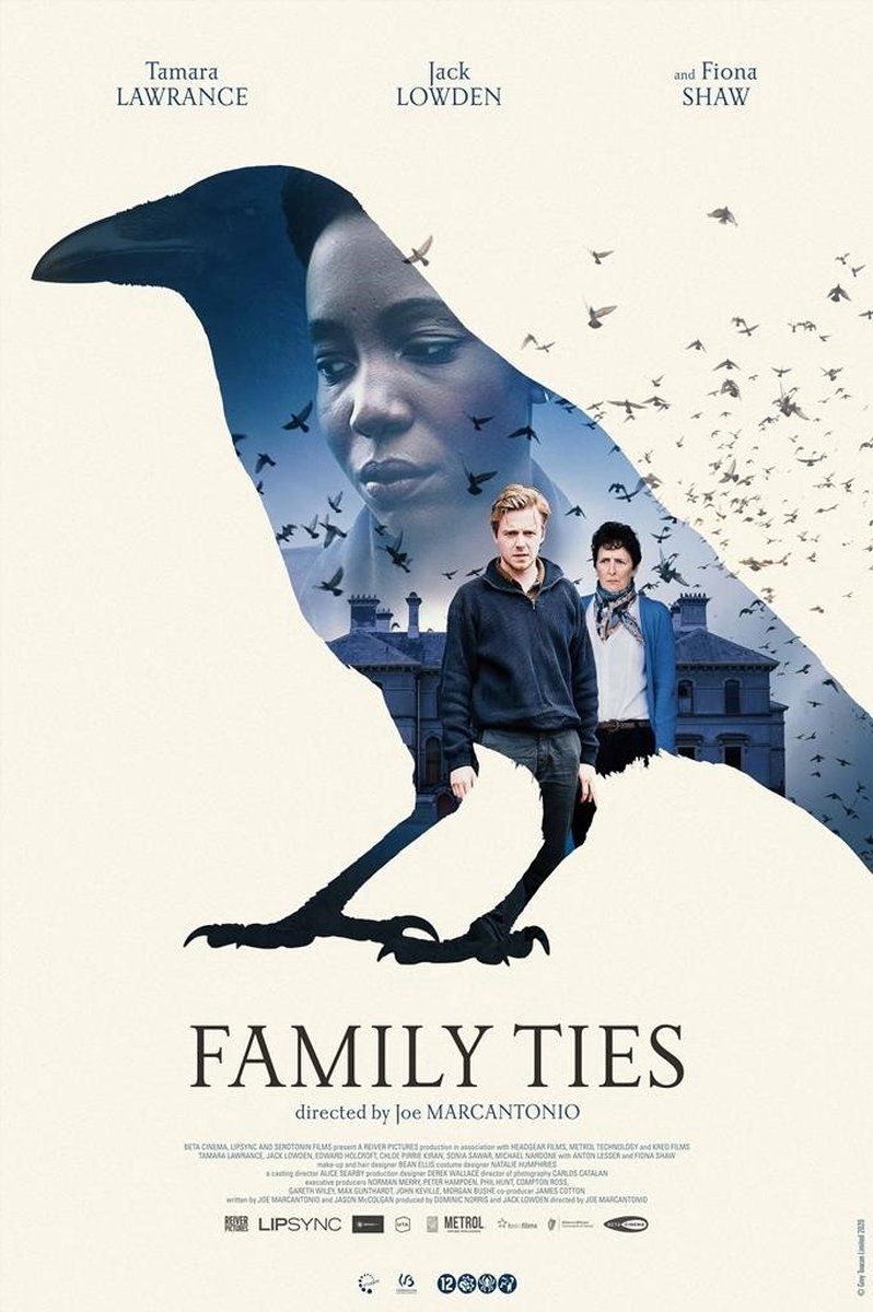 Remain in Light Family Ties - DVD