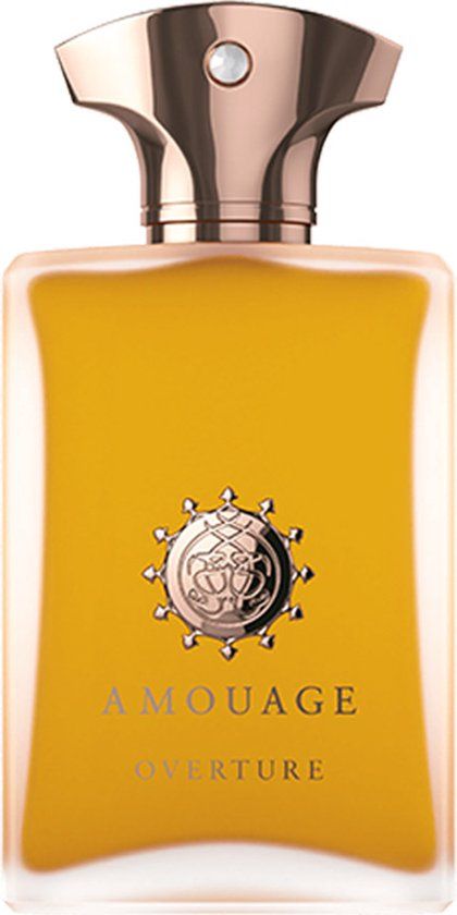 Amouage Eau de Parfum / 100 ml / Mannen