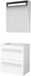 Basic-Line Premium 39 Badkamermeubelset - Ondiep - 60 x 39 cm - Met Grepen - 2 Lades - Acryl Wastafel - Zonder Kraangat - Spiegelkast met LED Verlichting - Ice White