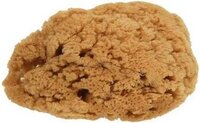 Croll & Denecke Natuur Spons voor Schilders - 16-18 cm