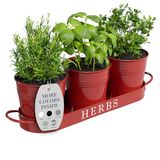 Barnyard Designs Boerderij Kruiden Tuin Planter Set met Dienblad of Outdoor Appartement Raam Planter Box, Indoor Kruiden Tuin Potten, Rood, Set/3
