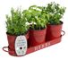 Barnyard Designs Boerderij Kruiden Tuin Planter Set met Dienblad of Outdoor Appartement Raam Planter Box, Indoor Kruiden Tuin Potten, Rood, Set/3