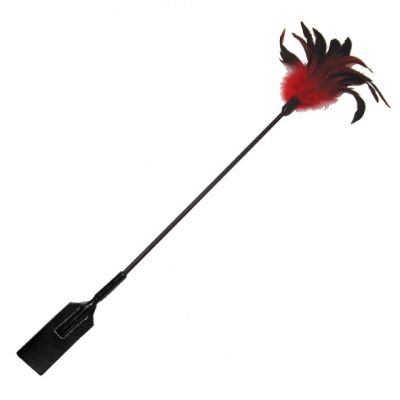 Sportsheets Sex and Mischief Feather Slapper - 0646709100629