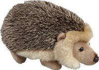 Ravensden B.V. Pluche knuffel dieren Egel van 18 cm