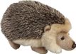 Ravensden B.V. Pluche knuffel dieren Egel van 18 cm