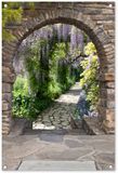 Merkloos / Sans marque GreatGardenPosters B.V. Tuinposter - 60x90 cm - Bloemen - Blauwe regen - Natuur