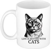 Bellatio Decorations Cadeau mok voor katten liefhebbers - Burmees - wit - keramiek - 300 ml