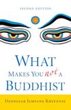 What Shambhala Publications Inc What Makes You Not a Buddhist Paperback