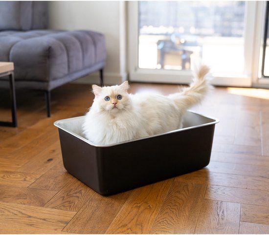 Quapas! RVS Kattenbak - Wit