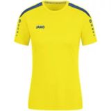 Jako Damestrui Power