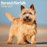 Avonside Norwich en Norfolk Terrier Kalender 2027