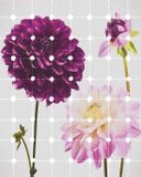 Komar Fotobehang - Flowers and Dots 200x250cm - Vliesbehang