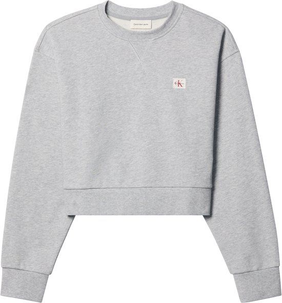 Calvin Klein Jeans French Terry Woven Label Crew Sw Grijs M