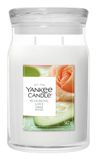 Yankee Candle Blooming Love Geurkaars Rond Glas Wit Hout, Muskus 1 stuk(s)