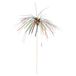 Garcia de Pou houten ijsdecoraties Iridiscent in doos, hout, gesorteerd, 23,5 x 30 x 30 cm