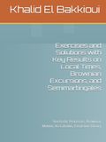 Exercises and Solutions with Key Results on Local Times, Brownian Excursions, and Semimartingales: Stochastic Processes, Brownian Motion, Itô Calculus, Excursion Theory