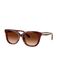 COACH Zonnebril 'CDP53' bruin